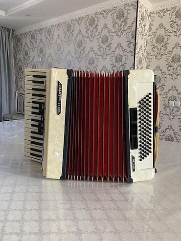 Музыкальные инструменты: Аккордеон Weltmeister - Немецкий аккордеон клавишно-кнопочного типа — 2