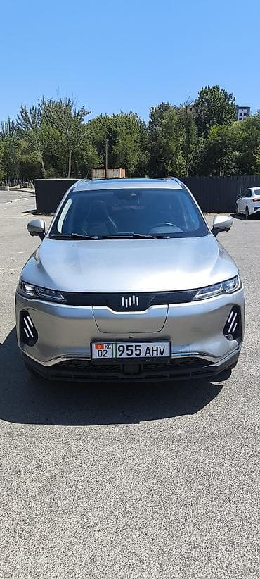 tesla model y: Weltmeister EX6 Plus, 2019 г., Передний — 1
