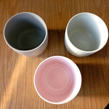 декоративная зелень: Декор для дома и сада, Кашпо и цветники, Самовывоз — 2