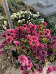 продаю дом бер булак: Дом, 1441 м², 8 комнат, Собственник — 23