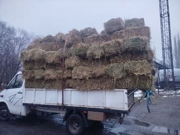 оборудование для корма: 1укос беде Чоп аралаш сатылат — 2