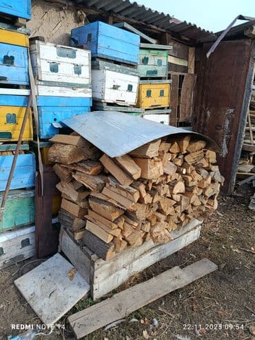 шкаф двустворчатый для одежды: Дрова — 2