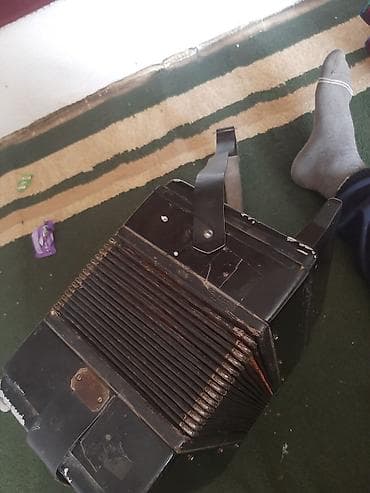 гитаа: Баян кнопочный, классическая двухрядная модель с правой и левой — 6