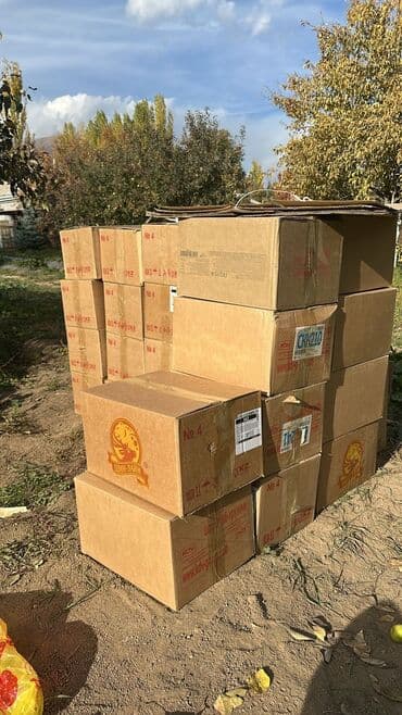 трансбой цена бишкек: Ящик — 1