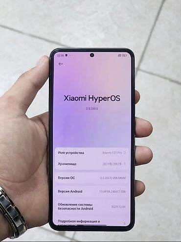 Apple iPhone: Xiaomi, 13T Pro, Б/у, 256 ГБ, цвет - Серый, 2 SIM — 2