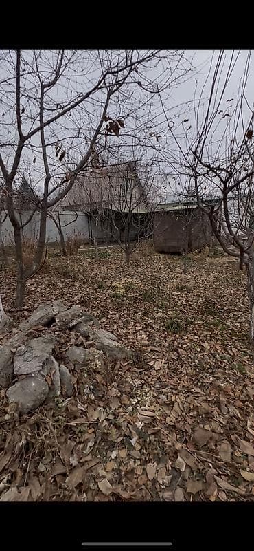 продажа мицелия шампиньонов: 5 соток, Тех паспорт, Договор купли-продажи — 6