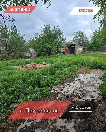 4 соток