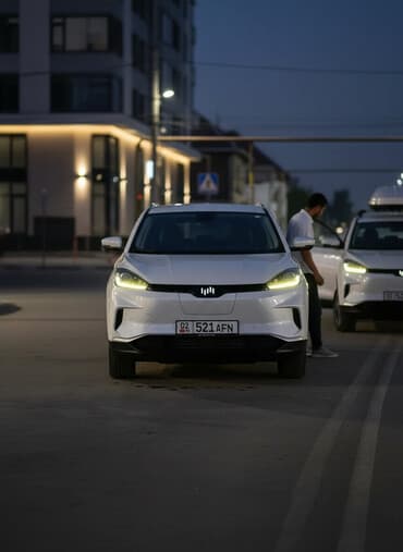 квадроциклы купить: Weltmeister EX5, 2020 г., 84000 км, Передний — 1