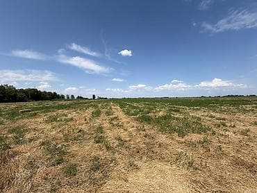 земля сокулуке: 551 соток, Для сельского хозяйства — 7