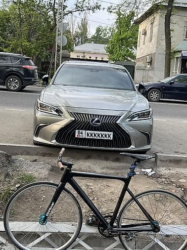 лыжи новые: Рама Gray F18 Виллсеты велолайны на джойтеках Райзер ритчей карбо — 1