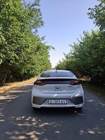 спинка: Hyundai Ioniq: 2017 г., Автомат, Электромобиль, Хэтчбэк — 4