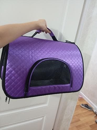 куплю конь: Отдаю кошку в хорошие руки, со всеми принадлежностями. кошка хорошая — 2