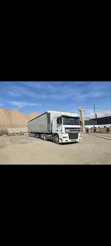 пороги подножки: Тягач, DAF, Тентованный — 10