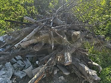 меняю на скот: Дрова Самовывоз — 4