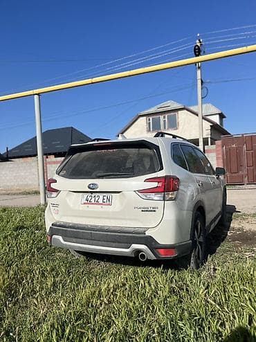 mini ev: Subaru Forester: 2019 г., Вариатор, Кроссовер — 6