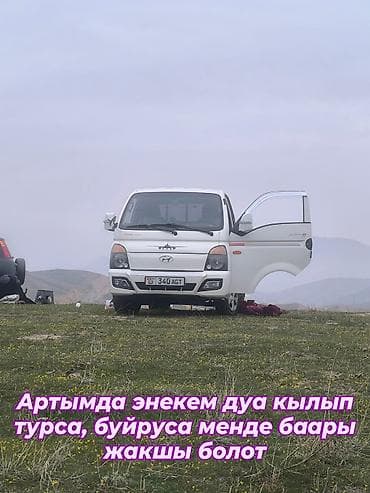 Легкий грузовик, Hyundai, Стандарт