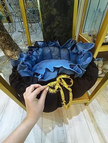 ратвелер шенки: 2 месяца, Самец, С прививкой — 7