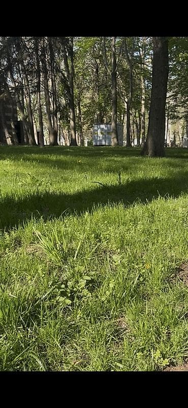 Услуги по благоустройству газонов и цветников - Профессиональная — 2