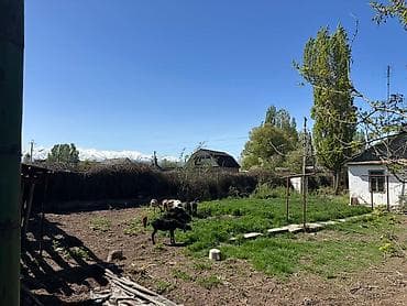 загородный дом для летнего отдыха: Продается дом с просторным участком и хозяйственными постройками. дом — 6