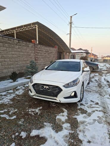 Hyundai Sonata: 2019 г., 2 л, Типтроник, Газ, Седан