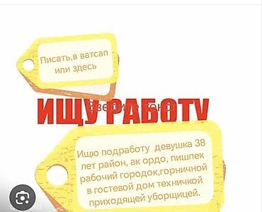 няни на дому: Девушка, 38 лет. - Ищу подработку в районах: Ак Ордо, Пишпек, Рабочий — 1