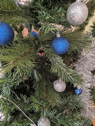 символическую: Елка на подставке. Ветки – микс ели и сосны. Без украшений!!! — 2