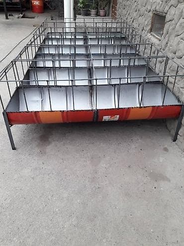 гиссарские бараны: Продаю | Овца (самка), Ягненок, Баран (самец) | Гиссарская, Полукровка, Долан | На забой, Для разведения, Для шерсти | Племенные, Котные, Кастрированные — 5