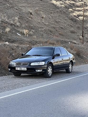 Toyota: Toyota Camry: 2001 г., 2.2 л, Автомат, Бензин, Седан — 3