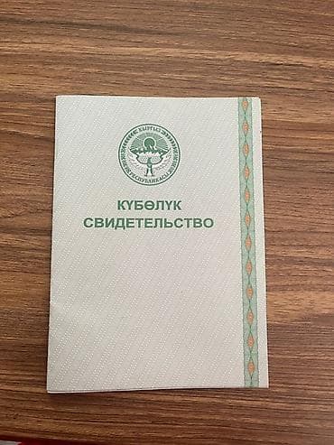 СРОЧНО ГОРИТ.Чуй обл, с Арашанпродается 1,25га земельный