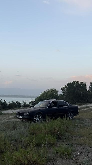 шторка е34: BMW 5 series: 1992 г., Седан — 9