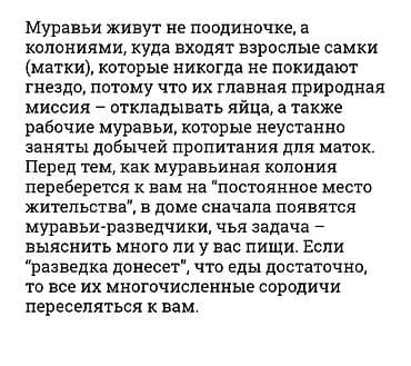 Клининговые услуги: Дезинфекция, дезинсекция, | Клопы, Тараканы, Блохи, | Дворы, Подъезды, Дома — 3