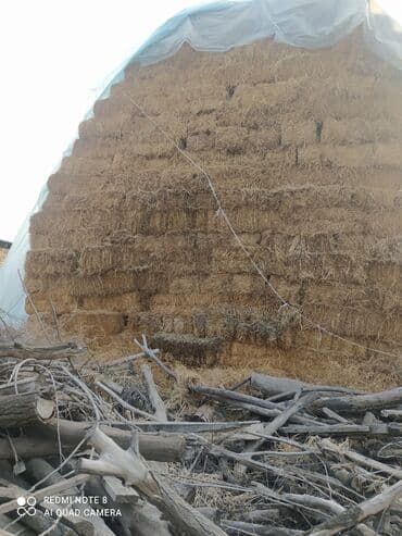 Сено в тюках (прессованное), укрыто под плёнкой. Заготовка из луговых