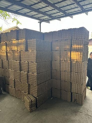 Лотки для яиц 30 шт. Б/у по 3 сома в отличном состоянии как новые