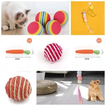 scottish fold: ПРОДАЮ КОШАЧЬЮ МЯТУ(АНТИСТРЕСС),ПОРАДУЙТЕ СВОГО КОТИКА ТАКОЙ — 7