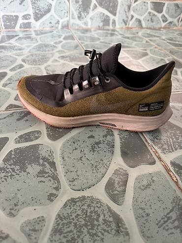 coros pace: Кроссовки Nike Zoom Pegasus 35 Shield - Серия Shield — 1