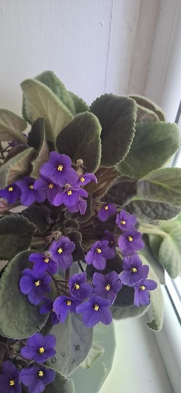 Промышленная химия: Декор для дома и сада, Самовывоз — 7