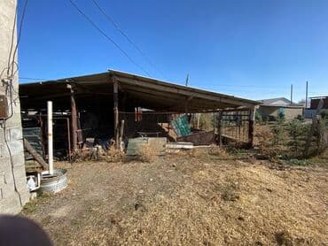 село раздольное кыргызстан: Сдаю в аренду базу в селе Раздольное для МРС и КРС(бычки 100 голов) — 11