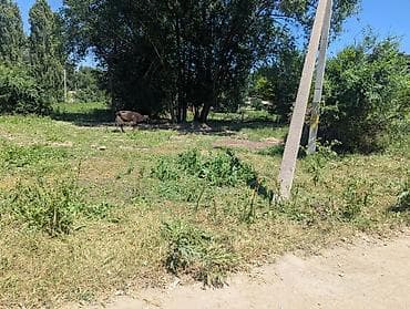 Продажа участков: 8 соток, Для строительства — 4