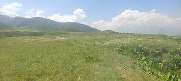 участка кунтуу: 428 соток, Айыл чарба үчүн, Сатып алуу-сатуу келишими — 7