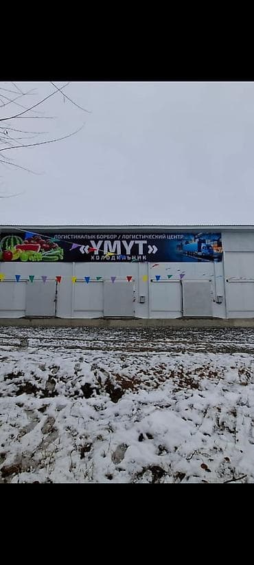 Недвижимость: Сдается холодильное помещение в логистическом центре «Умут» — 3