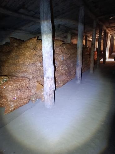 Картошка Оптом