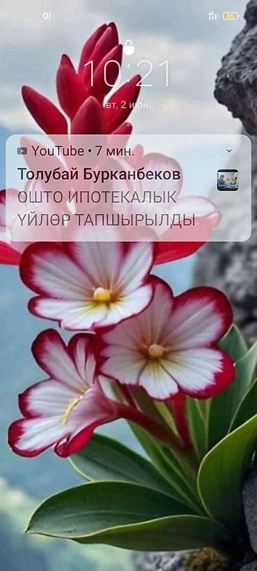 дачный участок кун туу: 6 соток, Красная книга — 1