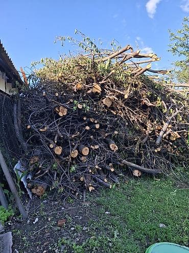 Дрова Самовывоз