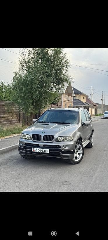 BMW X5: 2004 г., 3 л, Автомат, Бензин, Кроссовер