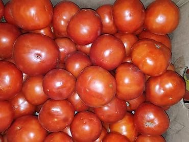 Продукты питания: Помидоры Красные, Оптом — 1