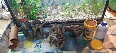 нагреватель для аквариума: Аквариумные ампулярии, растения, декорации,коряга,корм. - Стеклянный — 5