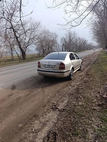 Продажа авто: Skoda Octavia: 2005 г., 1.6 л, Механика, Бензин, Roadster — 4