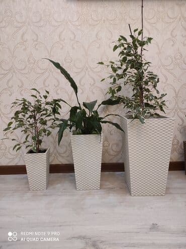 цветочница: Кашпо для цветов, Цветочные горшки Объем разные Производство — 6