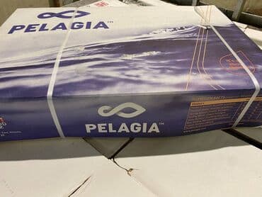 толстолоб оптом: Замороженный, До 1 кг, Бесплатная доставка, Самовывоз, Платная доставка — 4