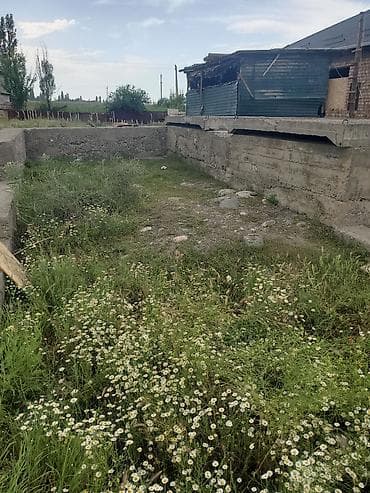 royal yard: 5000 соток, Для сельского хозяйства, Тех паспорт — 6